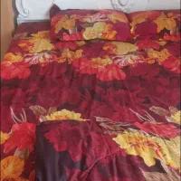 تخت دونفره|تخت و سرویس خواب|قم, انسجام|دیوار