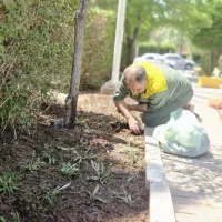 جذب نیروی ماهر وابیار فضای سبز