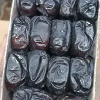 خرمای مضافتی بم