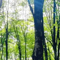 پارتنر جهت طبیعت گردی کوهنوردی و بدنسازی