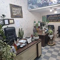 زمین-برعماریاسر