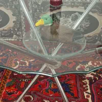 میز شیشه ای|میز و صندلی غذاخوری|تبریز, |دیوار