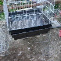 لوازم پرنده|لوازم جانبی حیوانات|تالش, تالش|دیوار