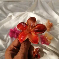 کلیپس خاص مدل سال|زیورآلات و اکسسوری|اصفهان, شاهد|دیوار