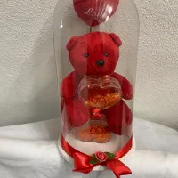 خرس شیشه ای