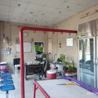 فروش وسایل کامل قصابی و مرغ و ماهی