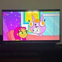 تلویزیون ۵۵ اینچ ایکس ویژن