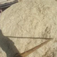 خرید فروش کاه سفید