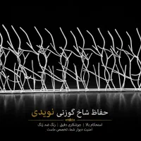قیمت مناسب، کیفیت بالا شاخ گوزنی دیوار در یزد