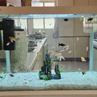 آکواریوم مدل جی اچ 600