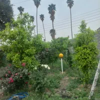 اجاره ویلایی هفتپه روزانه وماهانه