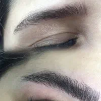 تخفیف ‌رژ لب دائم شیدینگ ومیکروبلیدینگ ابرووبنمژه|خدمات آرایشگری و زیبایی|رشت, سعدی (تختی)|دیوار