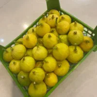 انجیر تازه