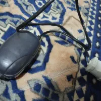 آکواریوم همراه تجهیزات درحد|ماهی|بندرعباس, |دیوار