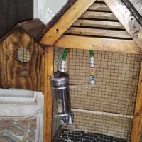 قفس چوبی لونه دار