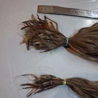 موی طبیعی اکستنشن