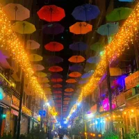 تور گروهی وان ترکیه تعطیلات تیرماه