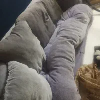 مبل هفت نفره|مبلمان خانگی و میز عسلی|قائمشهر, |دیوار