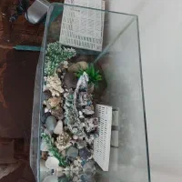 آکواریوم شیشه خم شرکتی با وسایل|ماهی|همدان, |دیوار