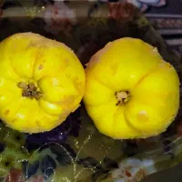 به بومی مشهد اردهال