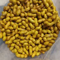 بادام زمینی فروش عمده