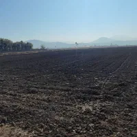 زمین کشاورزی سند دار