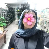 سالن زیبا پرورش طوطی اوپلاین کوتوله گرینچیک قناری