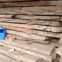 فروش تخته انواع چوب ،کیلویی و فله ای|مصالح و تجهیزات ساختمان|دماوند, گیلاوند|دیوار