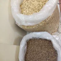 بذرخربزه و کنجد|عمده‌فروشی|شیراز, شهرک گلستان|دیوار