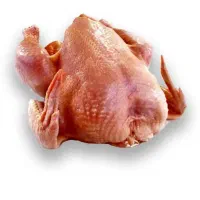 فروش مرغ محلی پاک شده ارگانیک