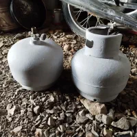 پیک نیک فروشی