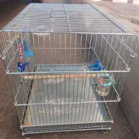 قفس سهره یا سقا