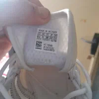 کفش ساکونی آدیداس|کیف، کفش، کمربند|شیراز, دروازه اصفهان|دیوار