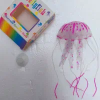 عروس دریایی ،آکواریوم|ماهی|زاهدان, |دیوار