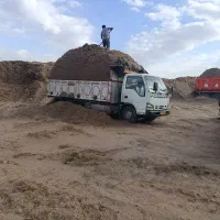 باگاس نیشکر