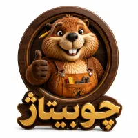 استخدام نیروی خاص
