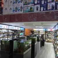 استخدام کارگر ساده|استخدام خدمات فروشگاه و رستوران|تهران, اسکندری|دیوار