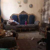 فروش زمین همراه با سه واحد مسکونی تک واحده|فروش زمین و ملک کلنگی|تهران, علیآباد|دیوار