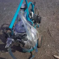 شیردوش|لوازم جانبی حیوانات|سلماس, |دیوار