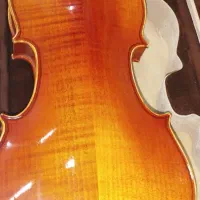 ویولن رناتو۲۲۰|ویولن|شیراز, شهرک قمشه|دیوار