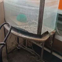 آکواریوم به همراه پایه آهنی