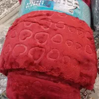 پتومسافرتی و شادیلون