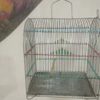 قفس|پرنده|اردبیل, |دیوار