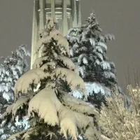 با میلی جایزه بگیر