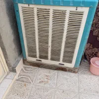 اسکلت کولرابی