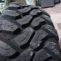 لاستیک آفرودی گل جنگلی