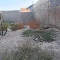 فروش زمین|فروش زمین و ملک کلنگی|محمدشهر, عباس آباد|دیوار