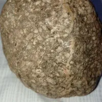 وسایل شخصی|جواهرات|شیراز, سلطان آباد|دیوار