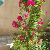 خانه در بست