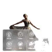 سافت لایت بزرگ حرفه ای